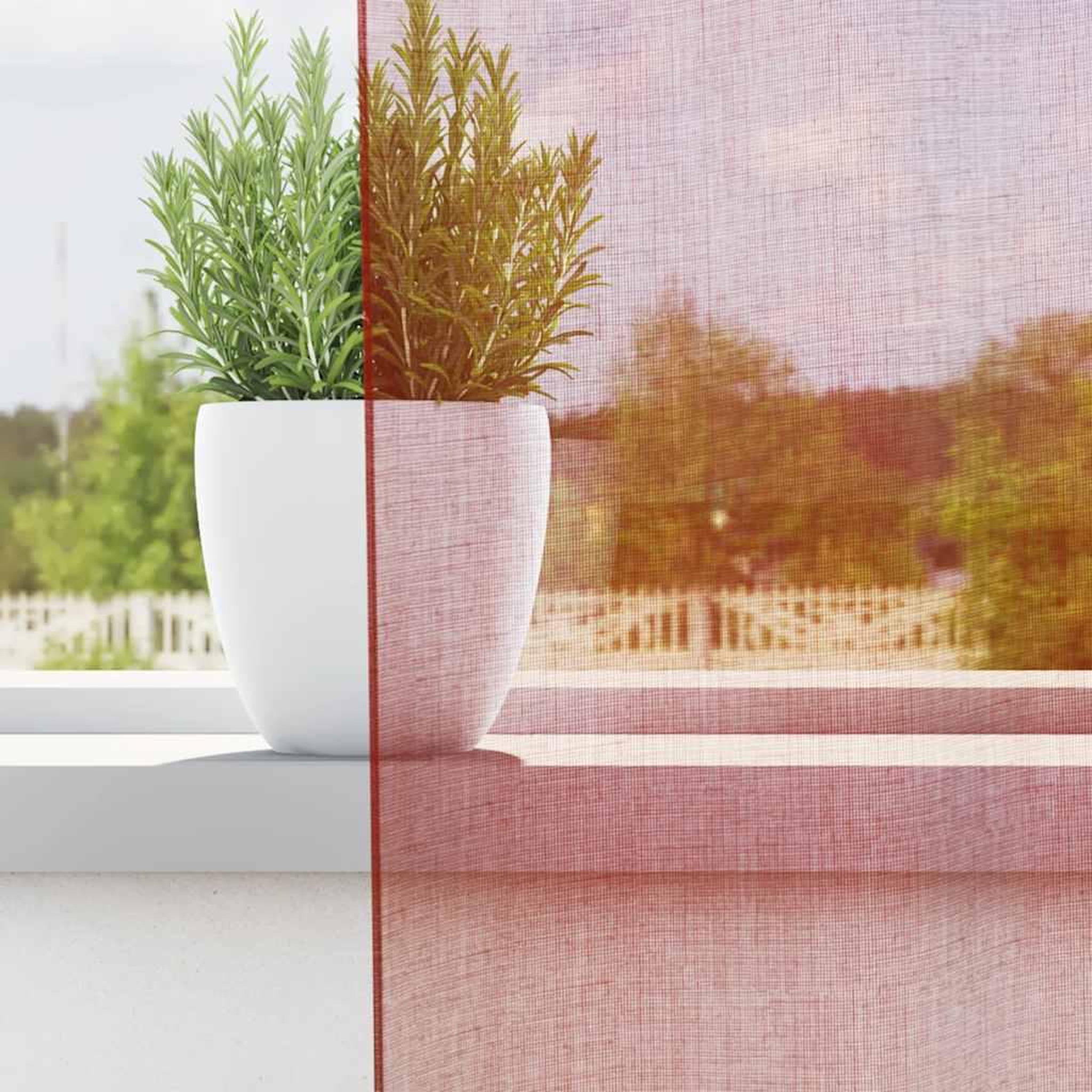 Voir la diapositive 3 : VIDAXL Rideaux en voile avec boucles 2 pcs rouge bordeaux 140x245 cm