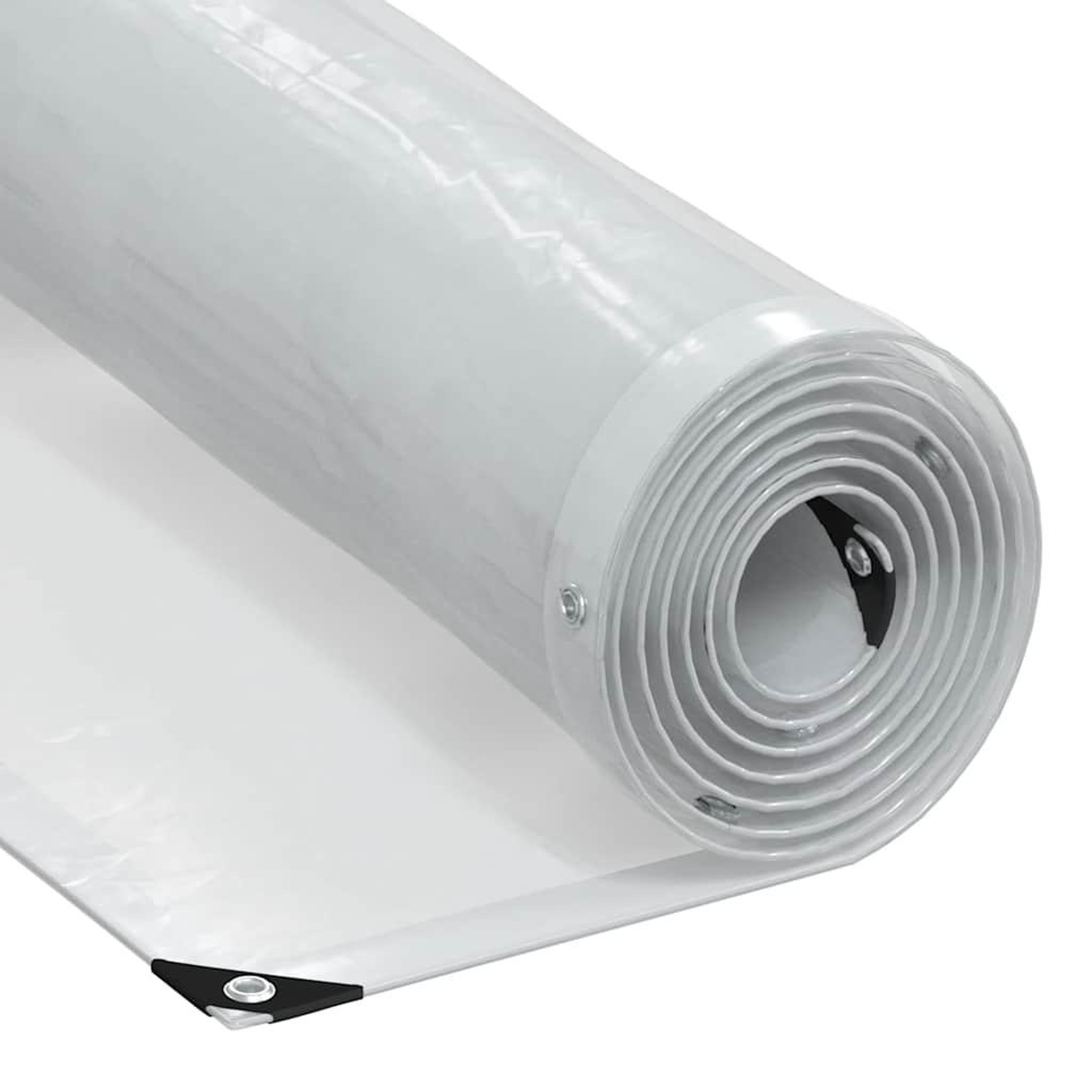 VIDAXL Bache transparente avec œillets 3x8 m polyethylene