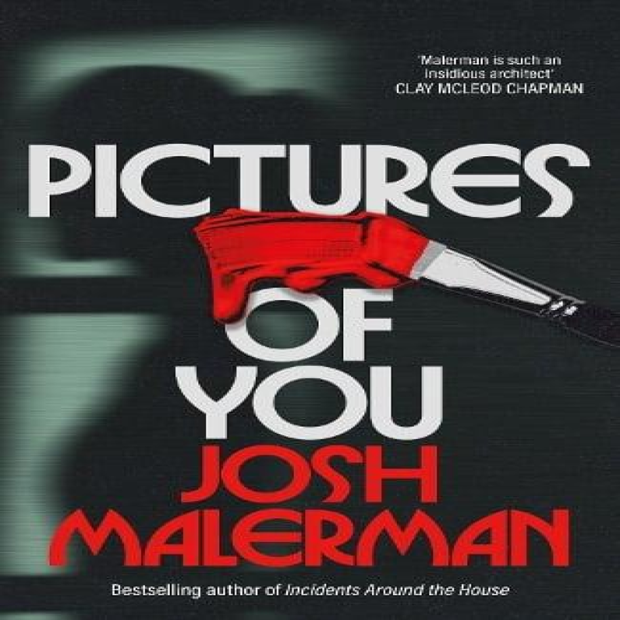 LIVRES Pictures of You - Josh Malerman