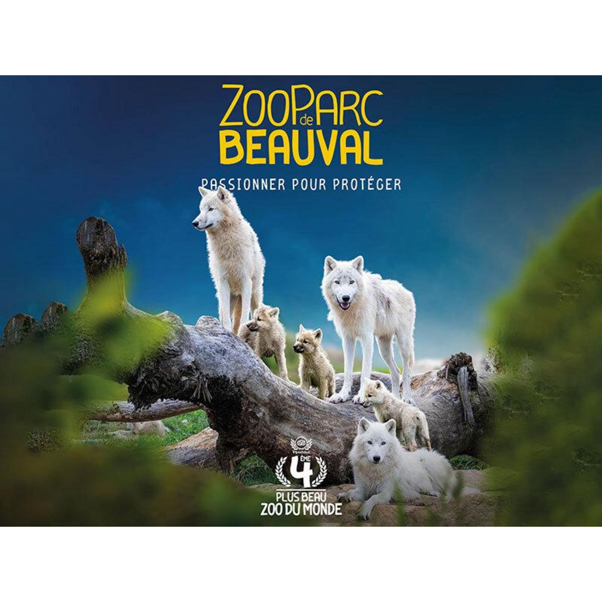 Smartbox Séjour au ZooParc de Beauval en 2025 : 2 journées et 1 nuit à proximité pour 2 adultes - Coffret Cadeau Multi-thèmes