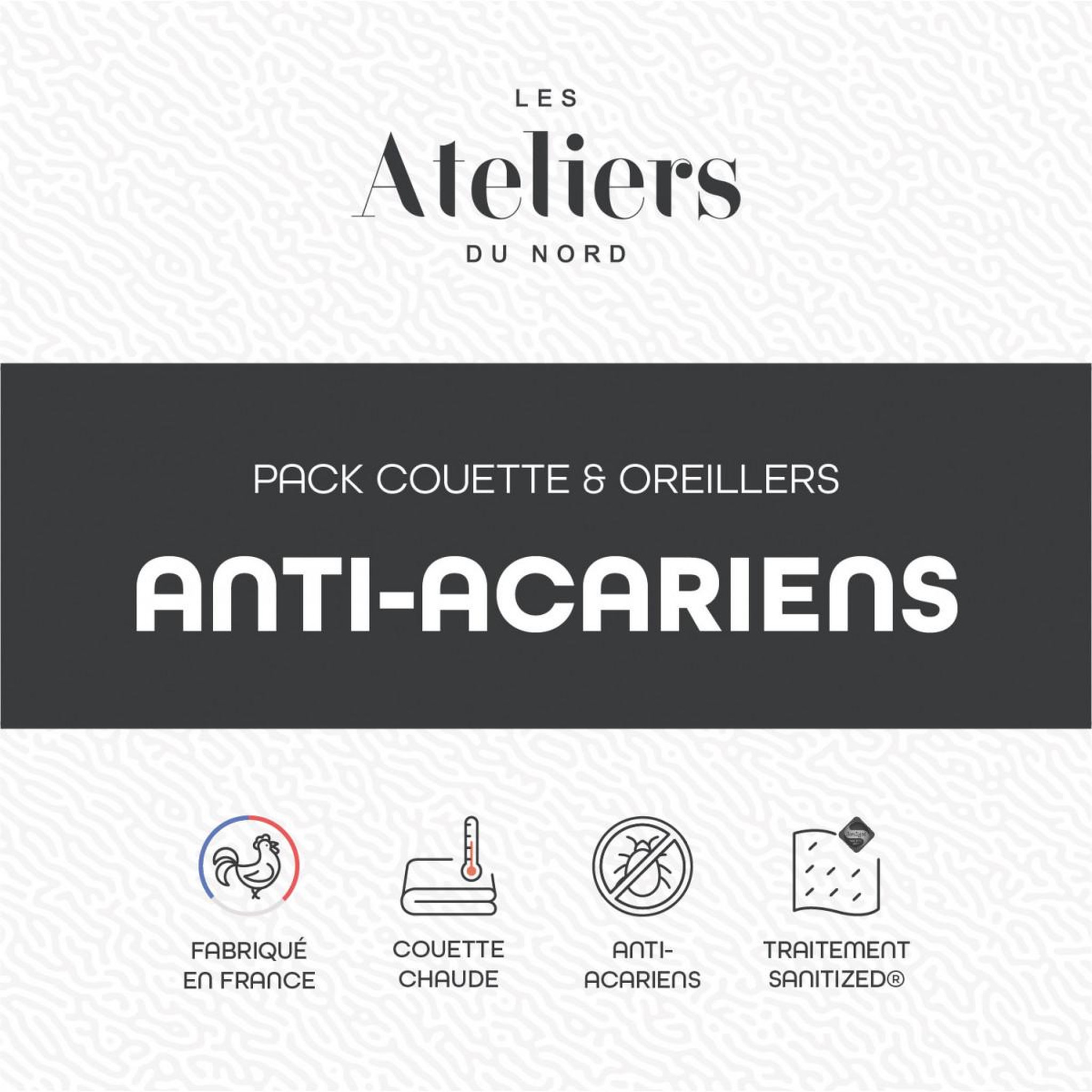 Voir la diapositive 3 : ATELIERS DU NORD Pack couette chaude + oreillers anti acariens