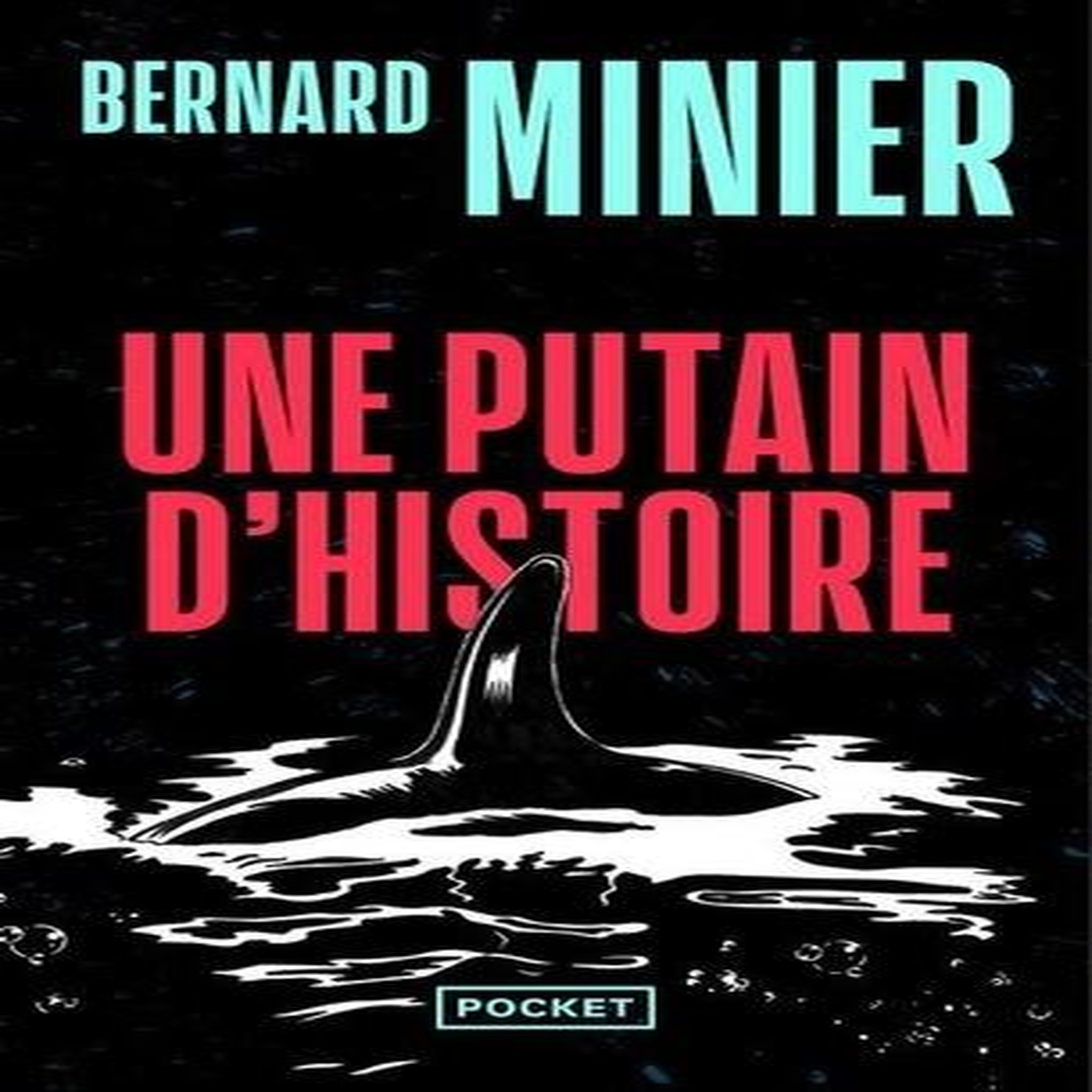 UNE PUTAIN D'HISTOIRE, Minier Bernard