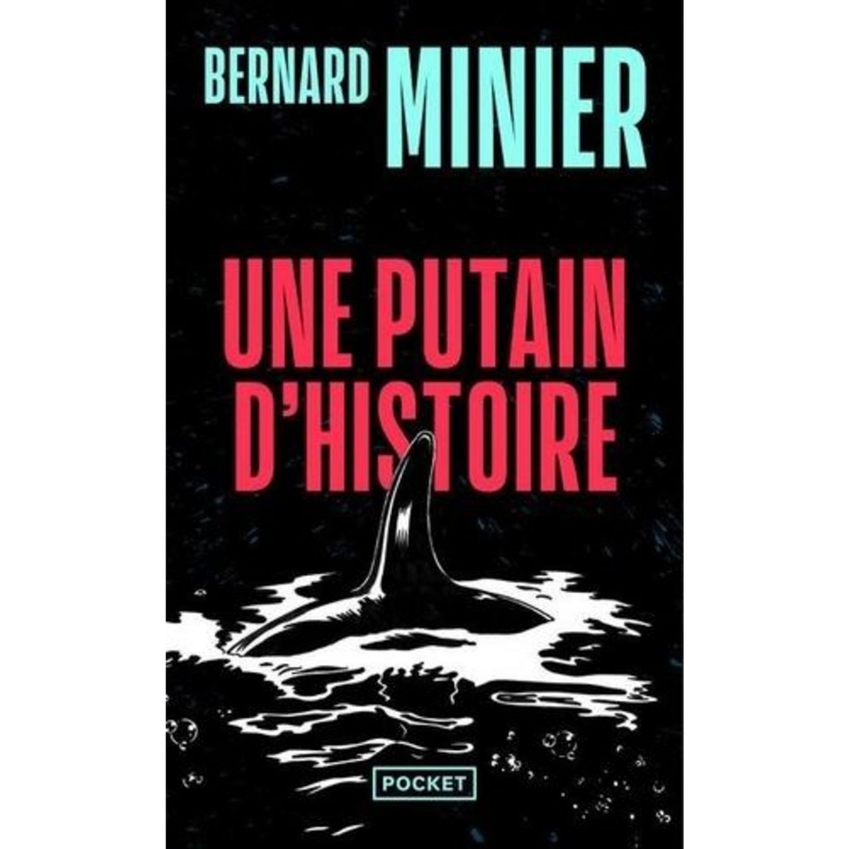 UNE PUTAIN D'HISTOIRE, Minier Bernard