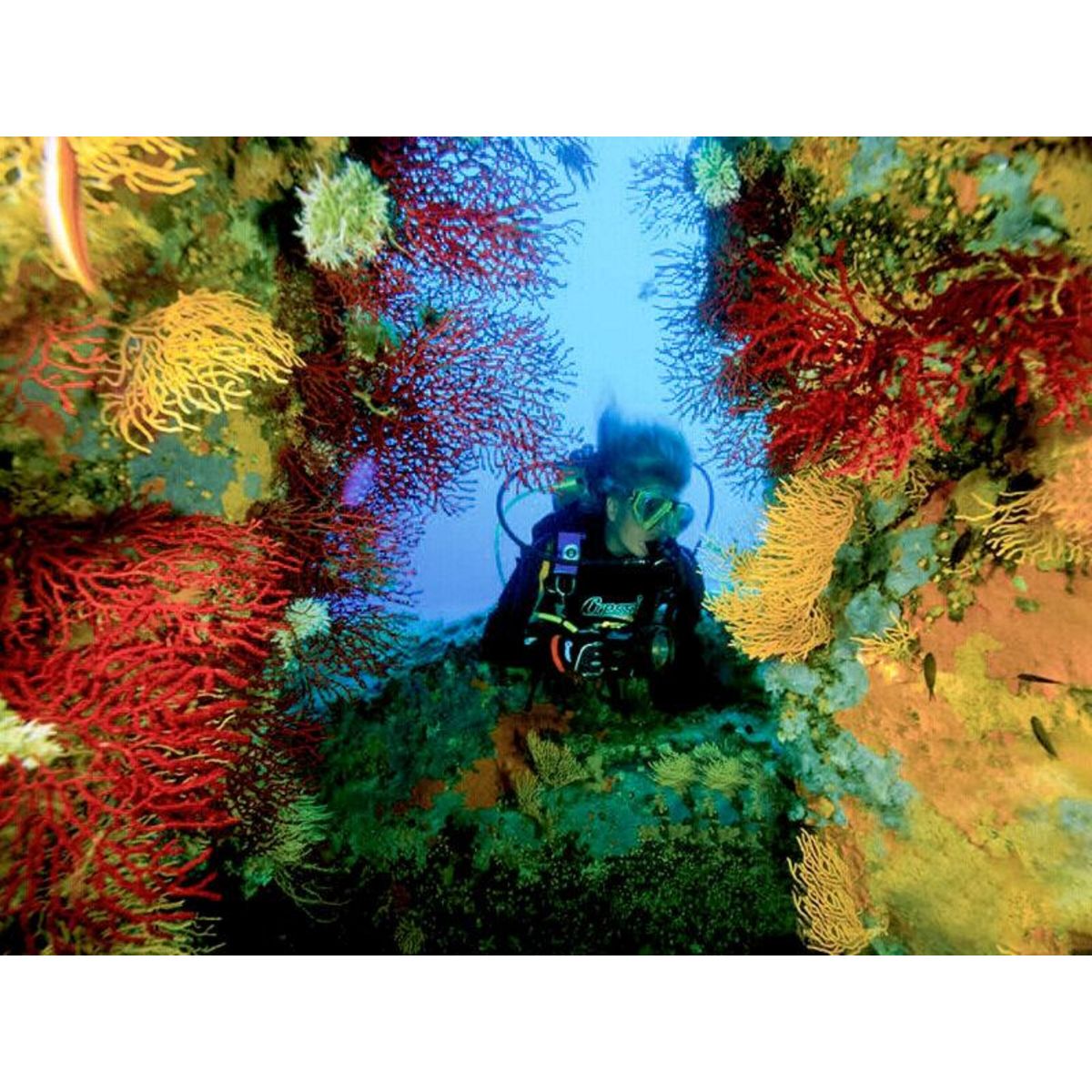 Smartbox Adrénaline aquatique - Coffret Cadeau Sport & Aventure