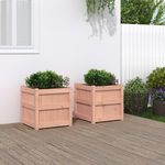 VIDAXL Jardinieres 2 pcs bois massif douglas