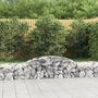 Voir la diapositive 1 : VIDAXL Paniers a gabions arques 3 pcs 300x50x40/60 cm fer galvanise