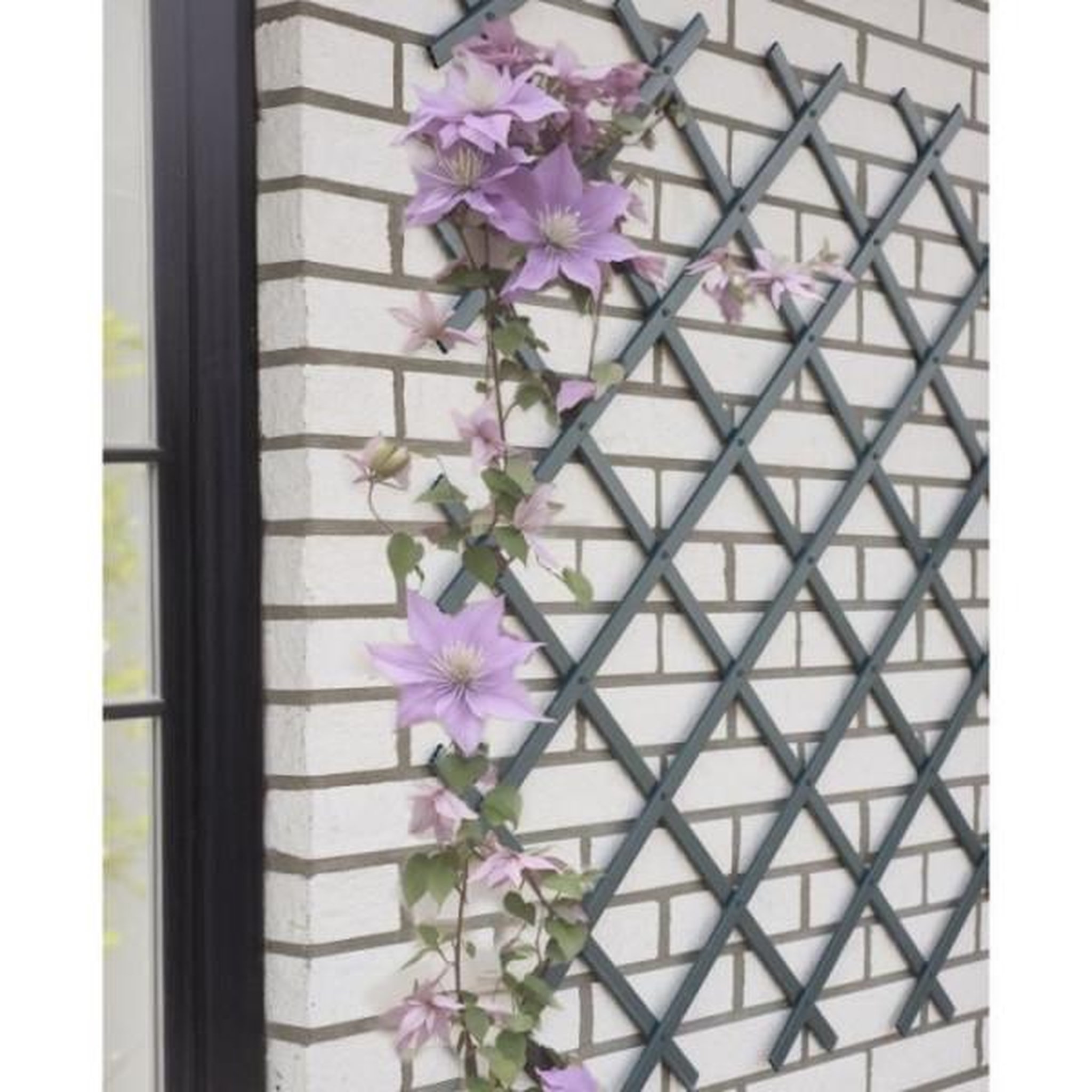 Voir la diapositive 2 : NATURE Treillis extensible - NATURE - En plastique Anthracite - 100 x 200 cm