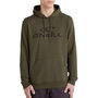 Voir la diapositive 1 : O'NEILL Sweat  Homme O'Neill Hoodie