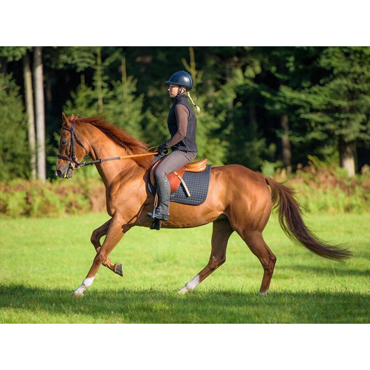 Smartbox Carte cadeau pour Secret Santa - 20 € - Coffret Cadeau Multi-thèmes