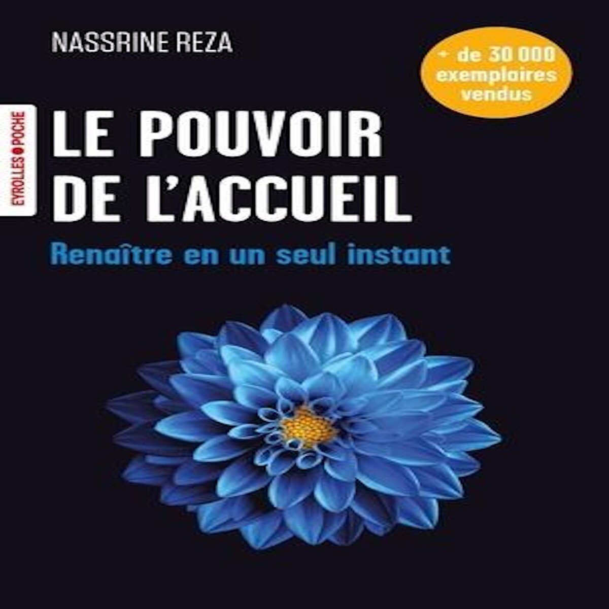 LE POUVOIR DE L'ACCUEIL. RENAITRE EN UN SEUL INSTANT, Reza Nassrine