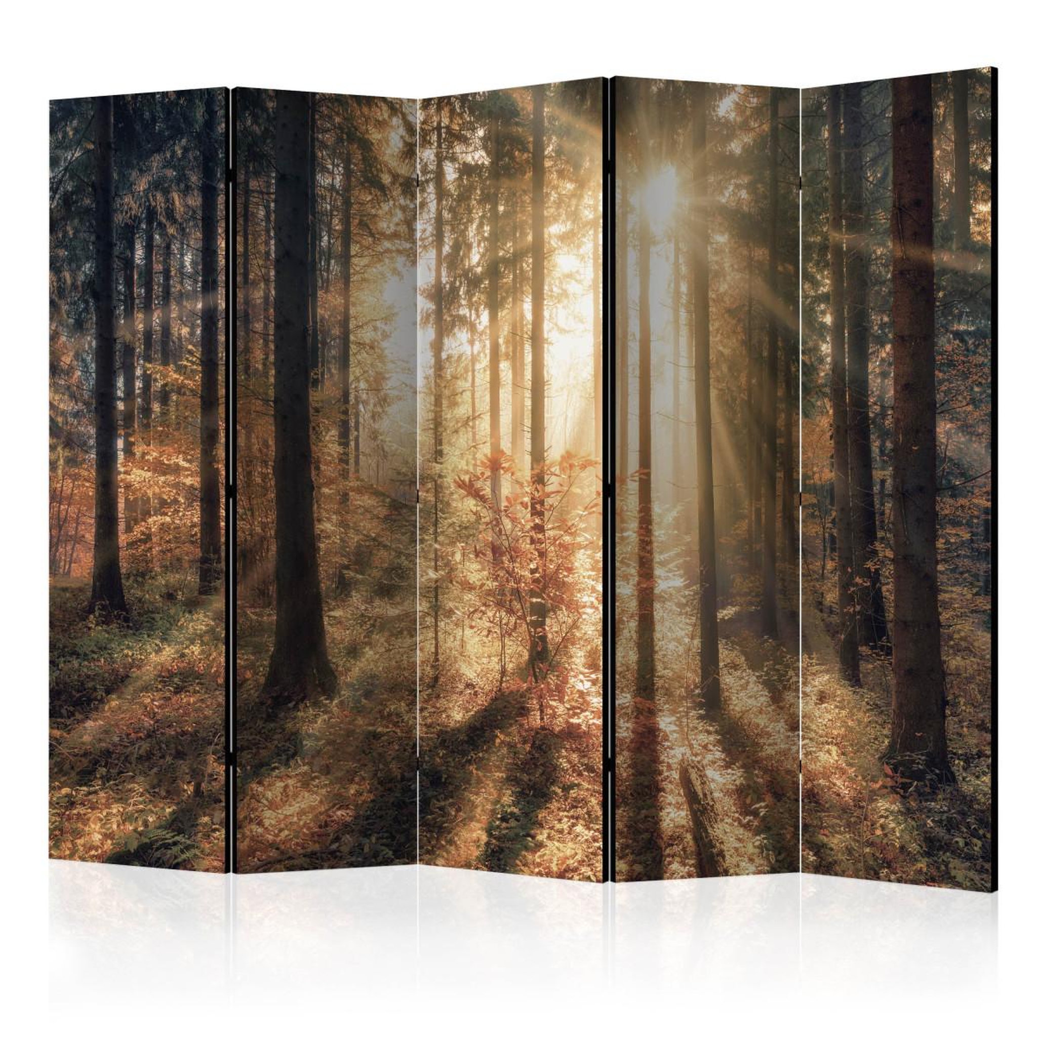 Paris Prix Paravent 5 volets  autumnal forest ii  172x225cm