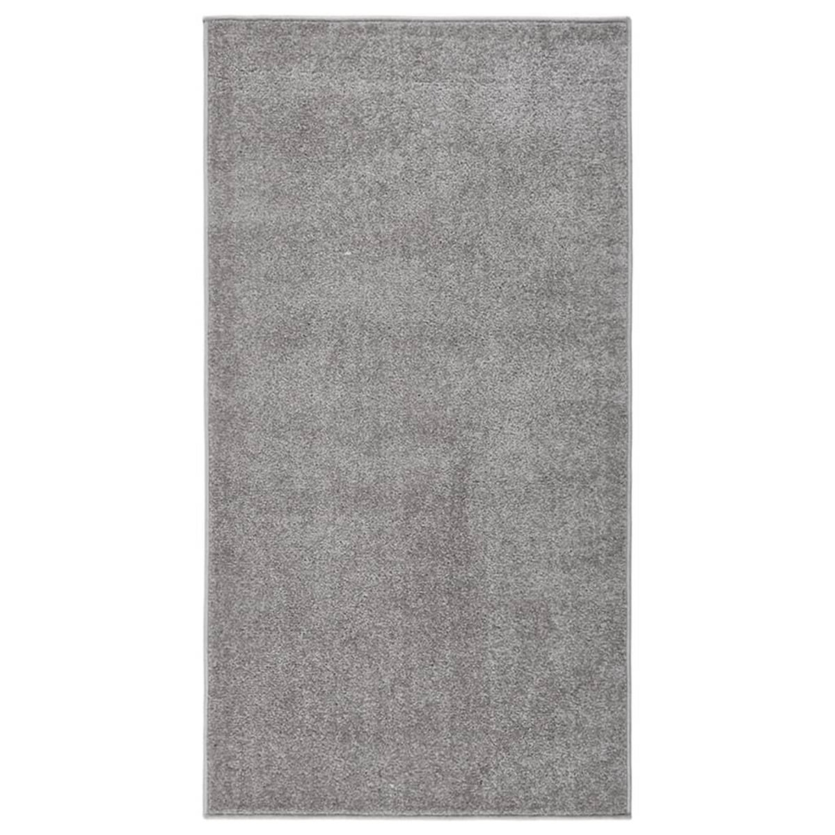 VIDAXL Tapis a poils courts 80x150 cm Gris