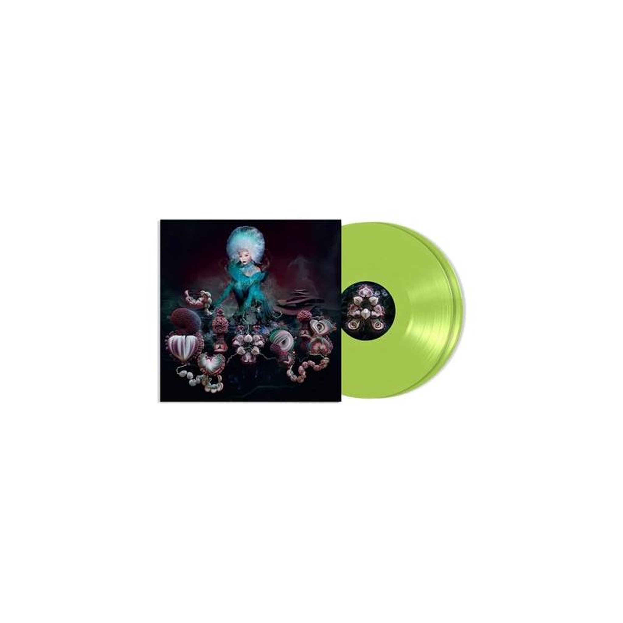 Fossora Vinyle Coloré