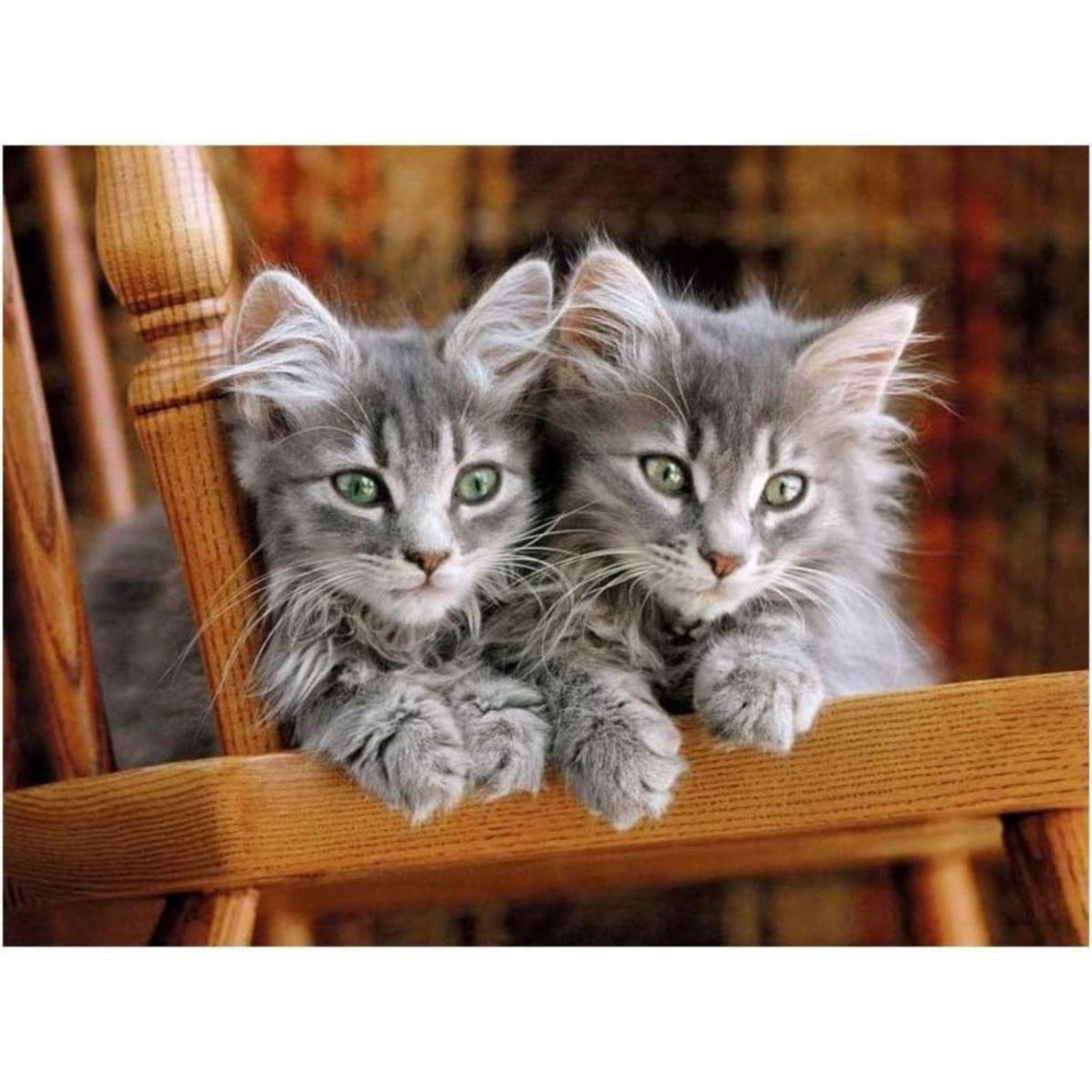 Voir la diapositive 2 : CLEMENTONI Puzzle  30545 high quality chatons - 500 pièces