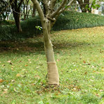 VIDAXL Rouleau de jute 0,25x5 m 100 % jute 200 g/m²
