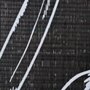VIDAXL Cloison de separation pliable 120 x 170 cm Plumes Noir et blanc