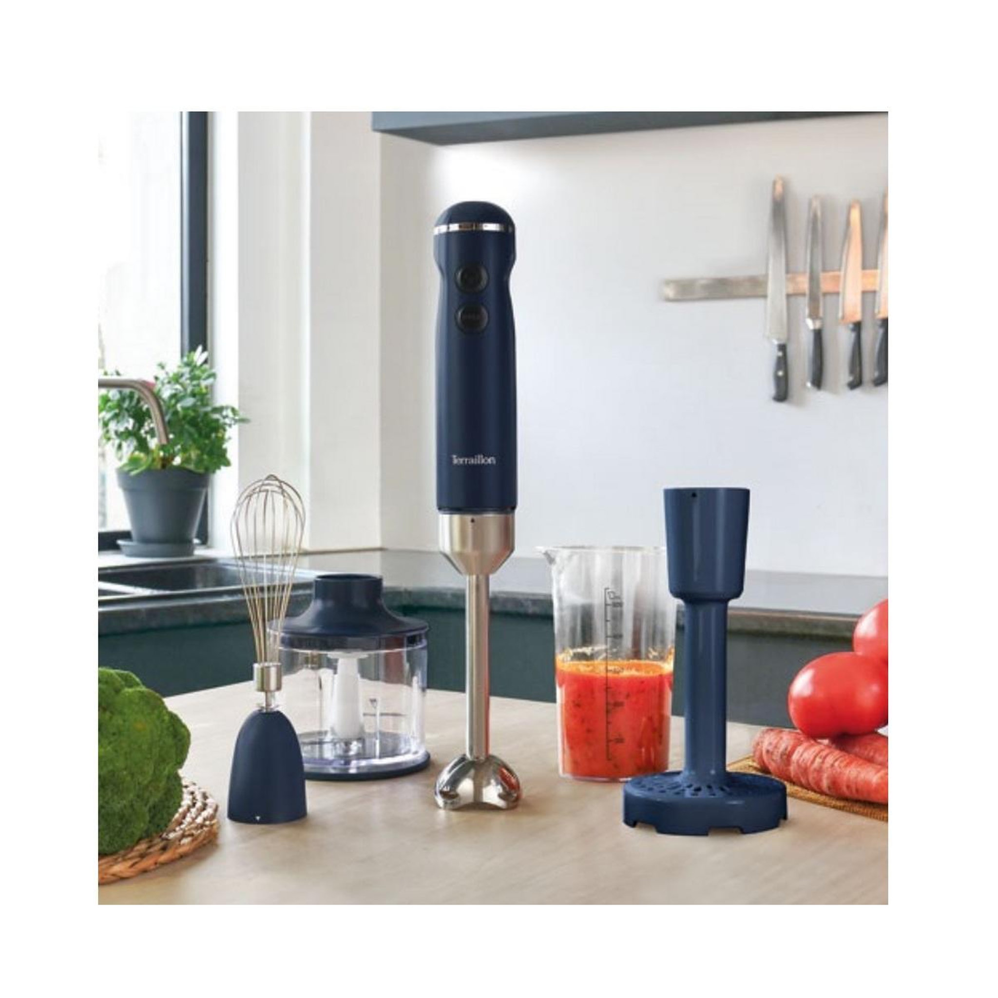 Voir la diapositive 2 : Terraillon Mixeur plongeant 1000w bleu nuit - 15440