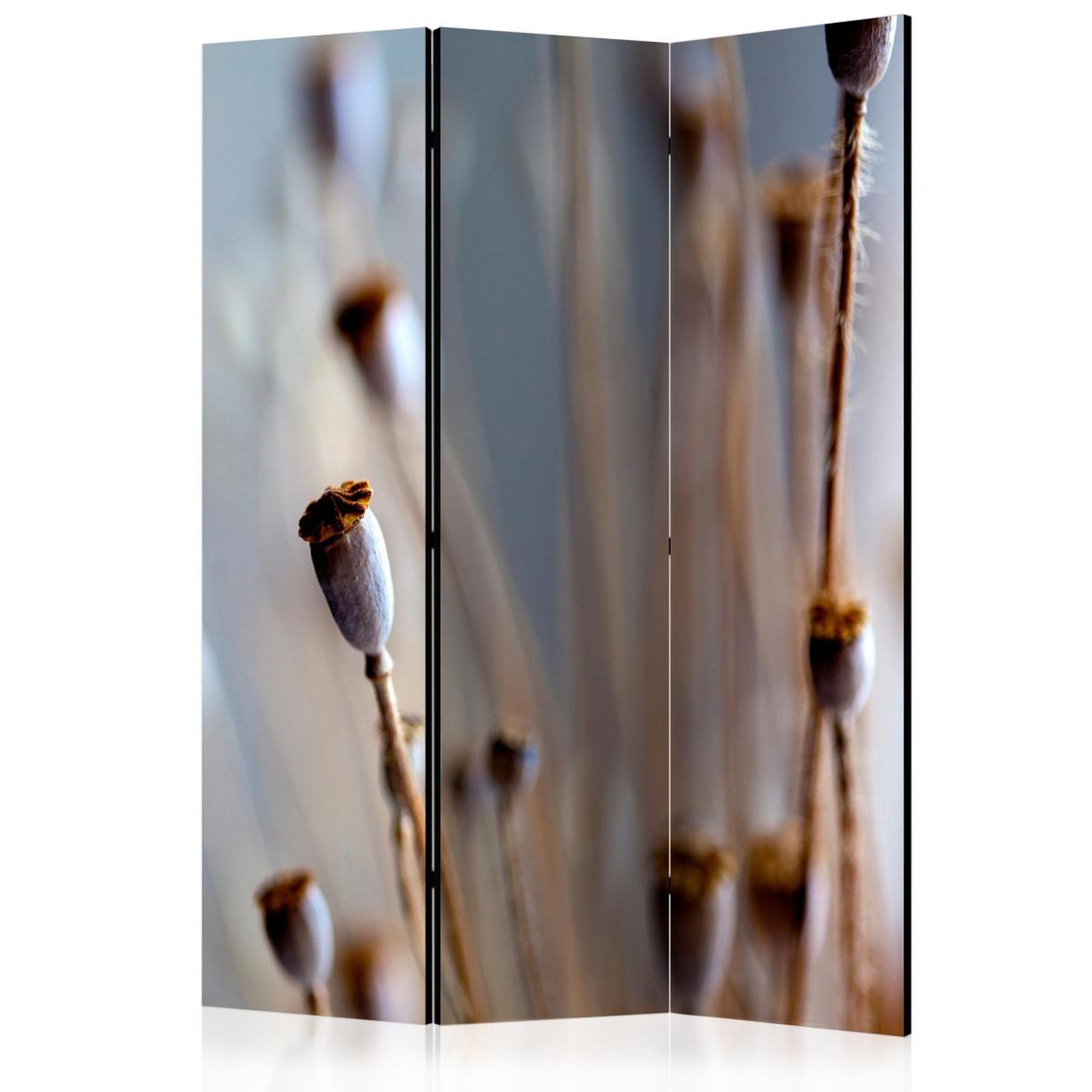 Paris Prix Paravent 3 volets  poppy heads  135x172cm