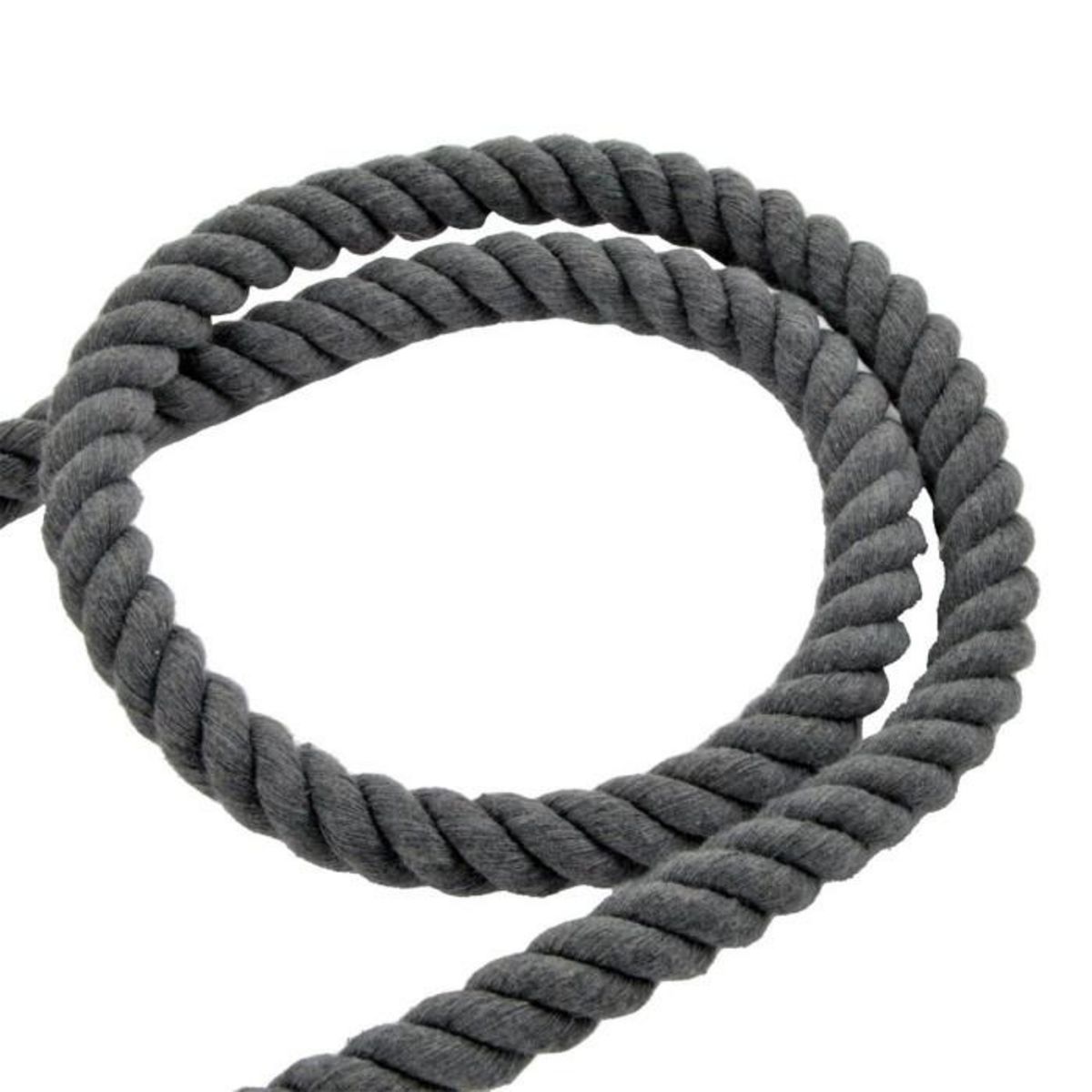 Paris Prix Laisse Corde Pour Chien  City  150cm Anthracite