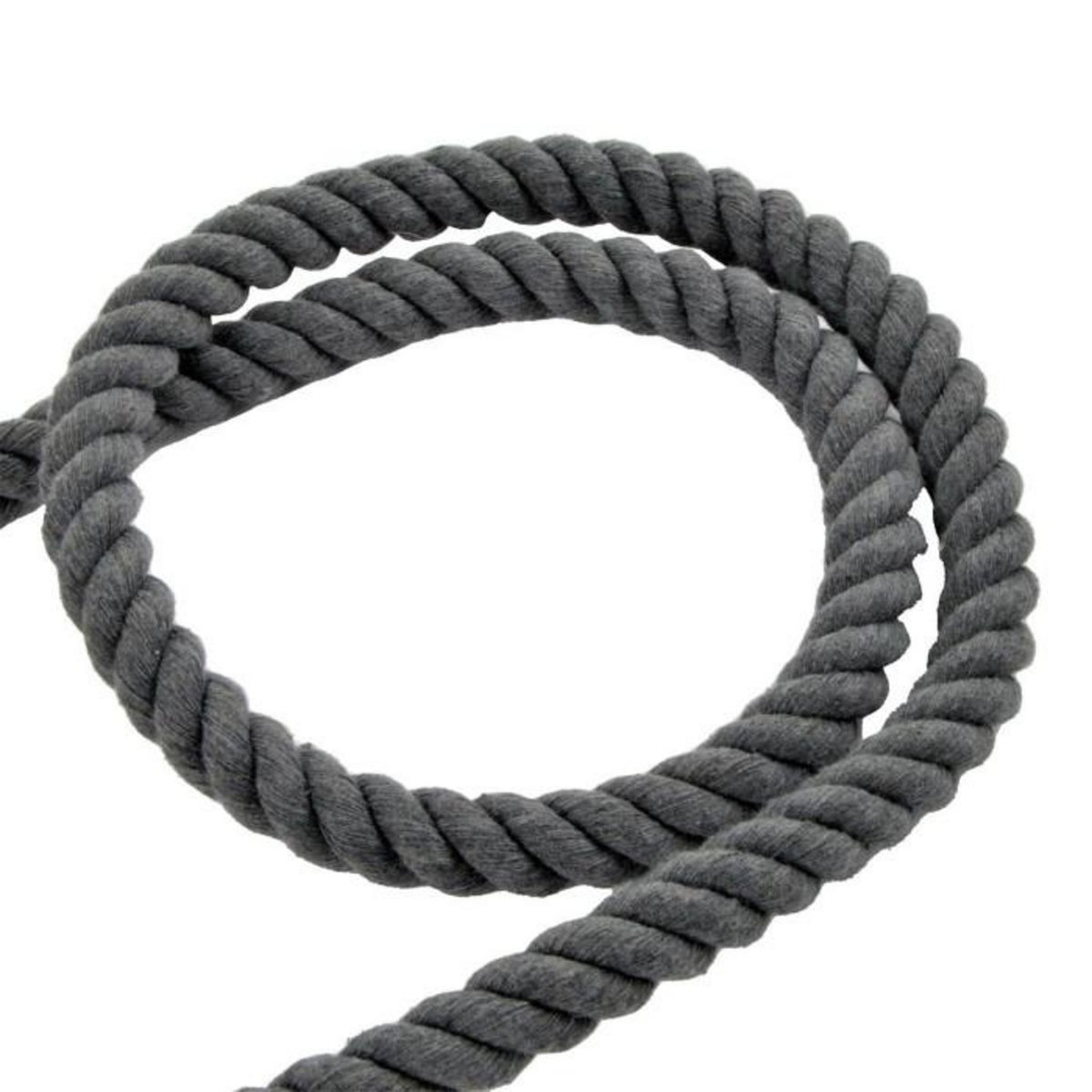 Paris Prix Laisse Corde Pour Chien  City  150cm Anthracite