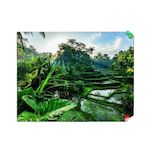 RAVENSBURGER Puzzle ravensburger Au cœur de Bali 2000 pièces