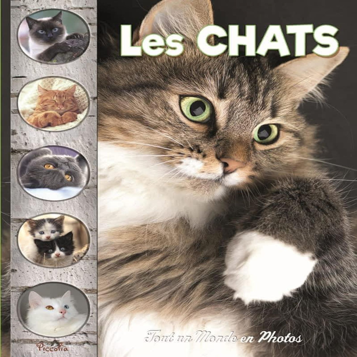LES CHATS, Piccolia