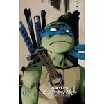 teenage mutant ninja turtles - les tortues ninja l'integrale tome 3 , eastman kevin