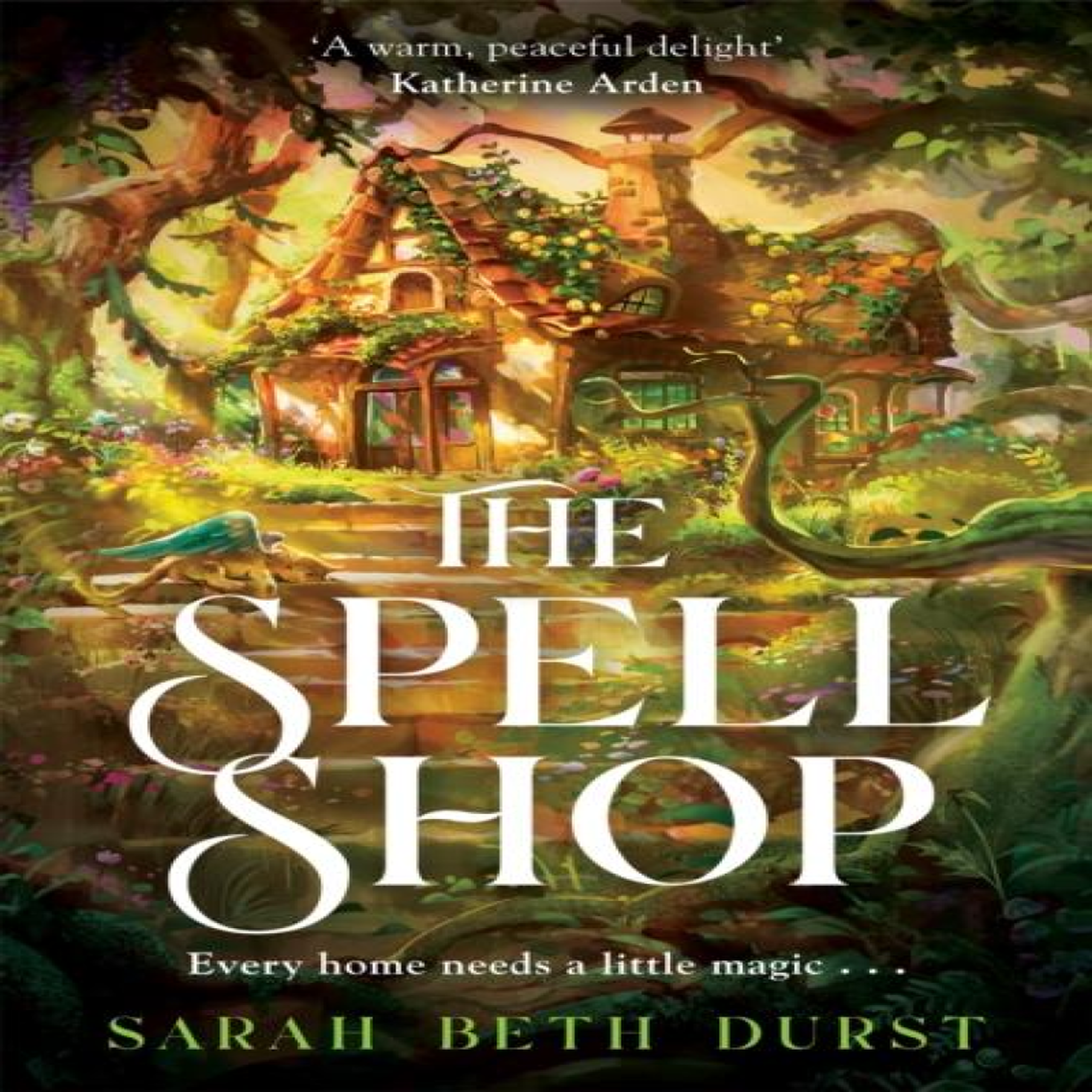 LIVRES The Spellshop - Sarah Beth Durst