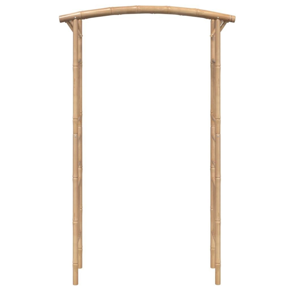 VIDAXL Arche pour rosiers Bambou 118x40x187 cm