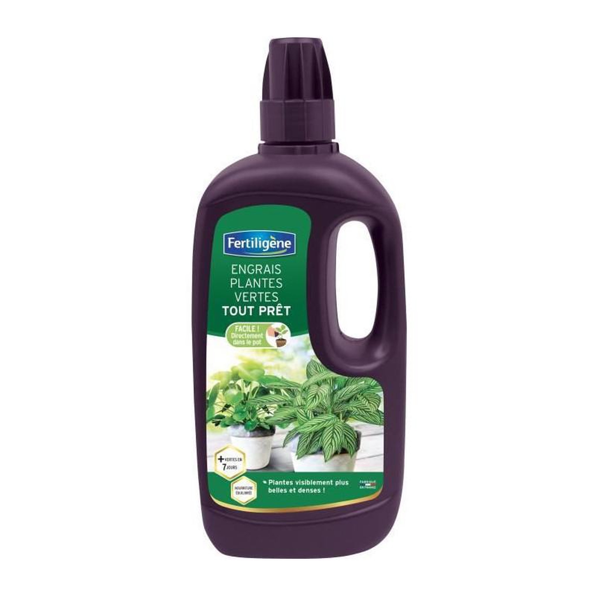 FERTILIGENE FERTILIGENE Engrais Plantes Vertes - 1 L