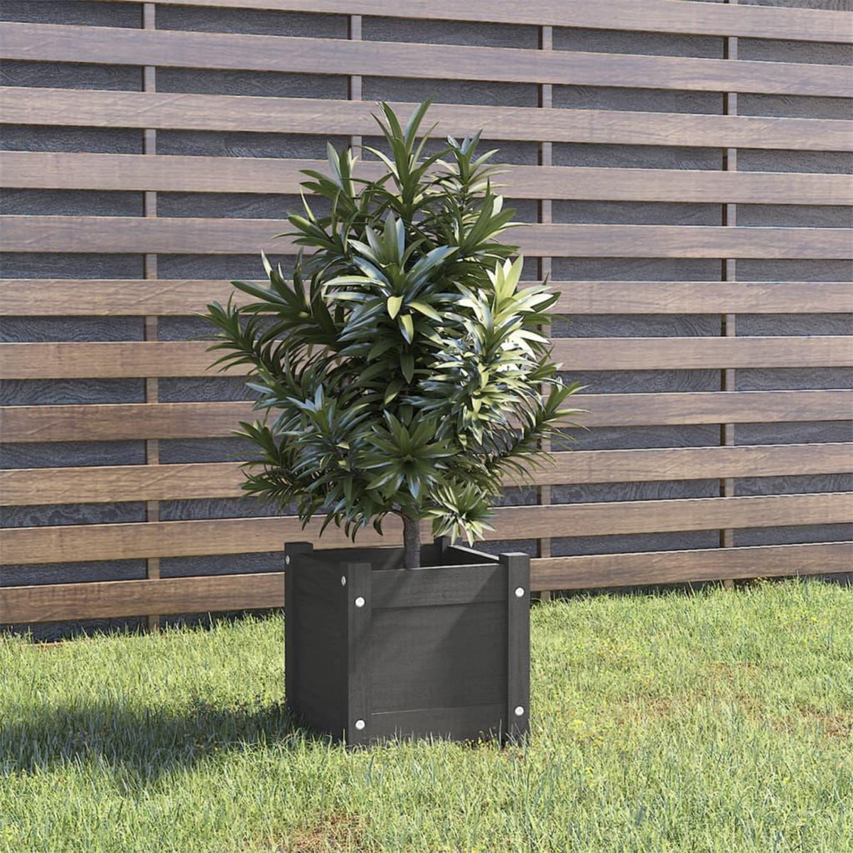 VIDAXL Jardiniere d'exterieur Gris 31x31x31 cm Bois de pin massif