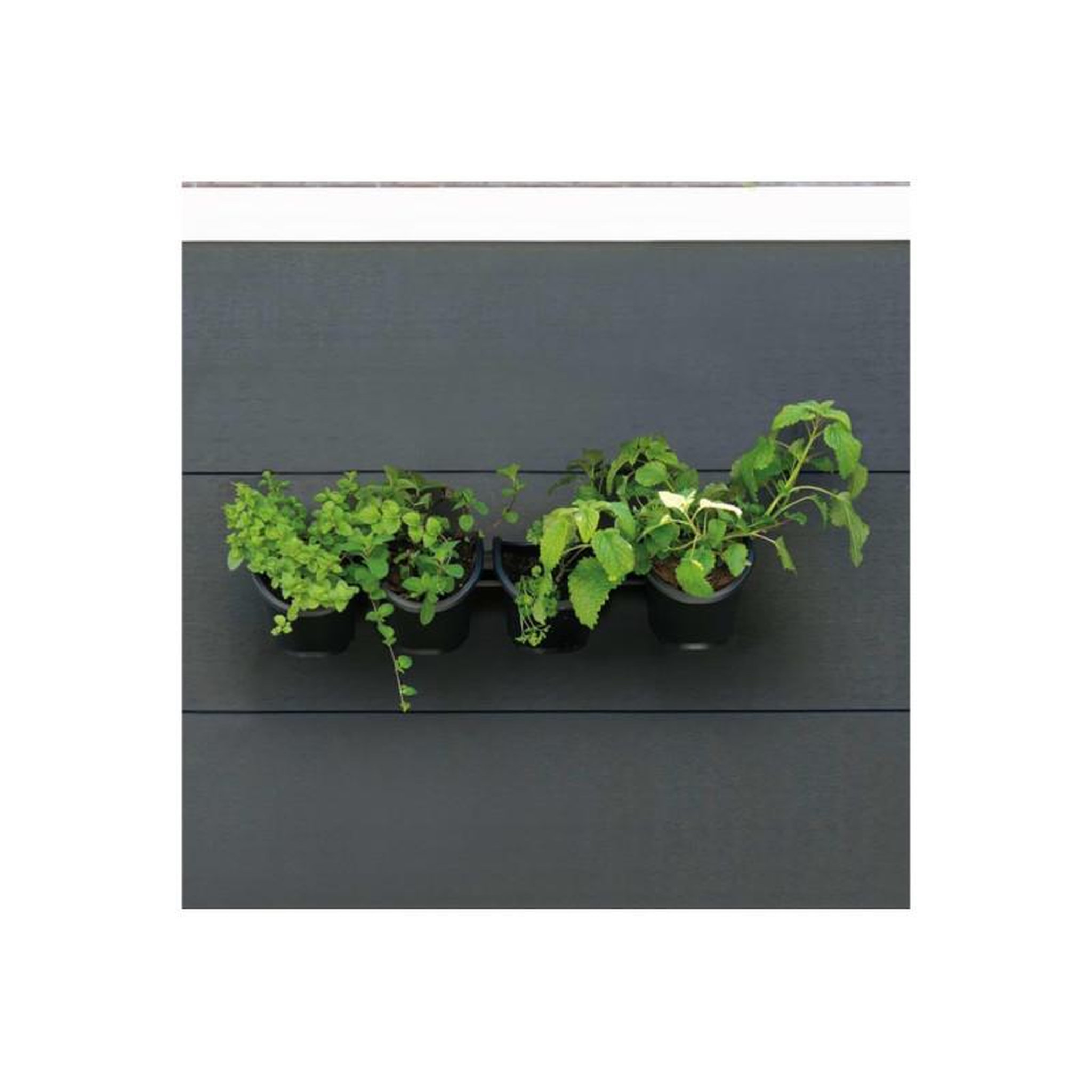 Voir la diapositive 2 : NATURE Jardiniere murale - Kit mural composé d'un support mural et de 4 pots (1 L) - Noir - Dim H 15 x L 60 cm - NATURE