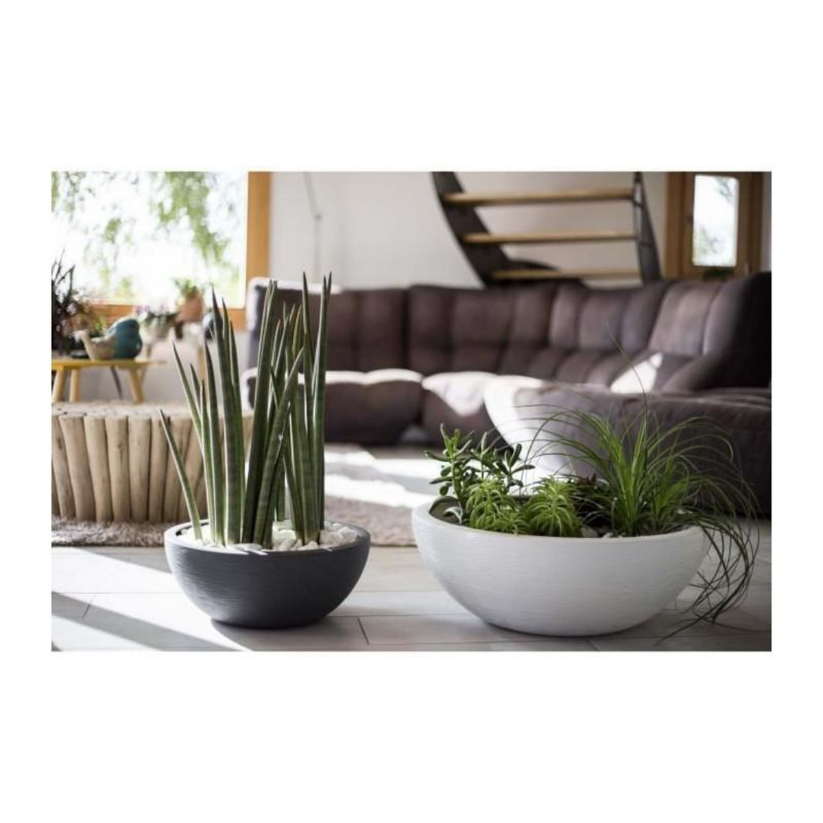 Eda Pot de fleurs rond en plastique Graphit Up anthracite - Ø 50 cm - Eda