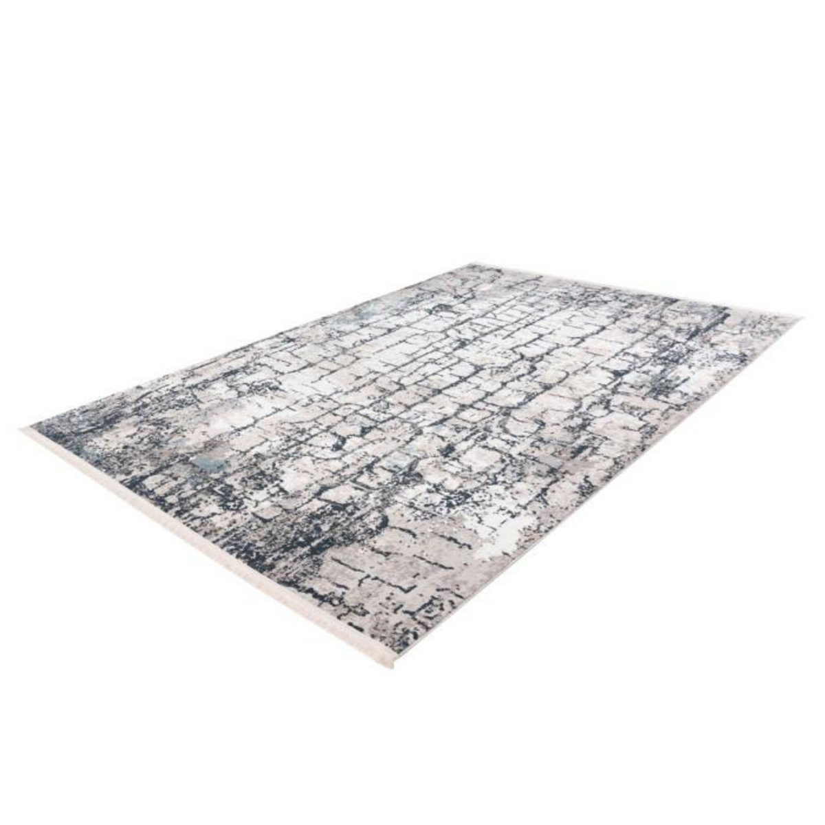 Paris Prix Tapis Vintage à Franges  Akropolis I  Gris & Bleu
