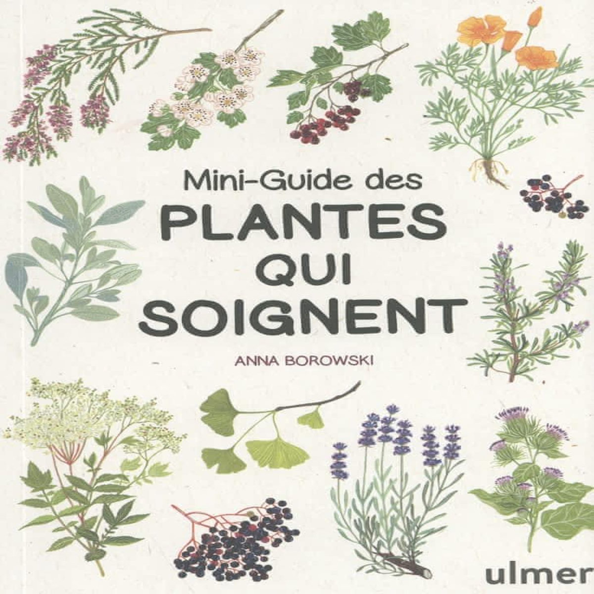 MINI-GUIDE DES PLANTES QUI SOIGNENT, Borowski Anna