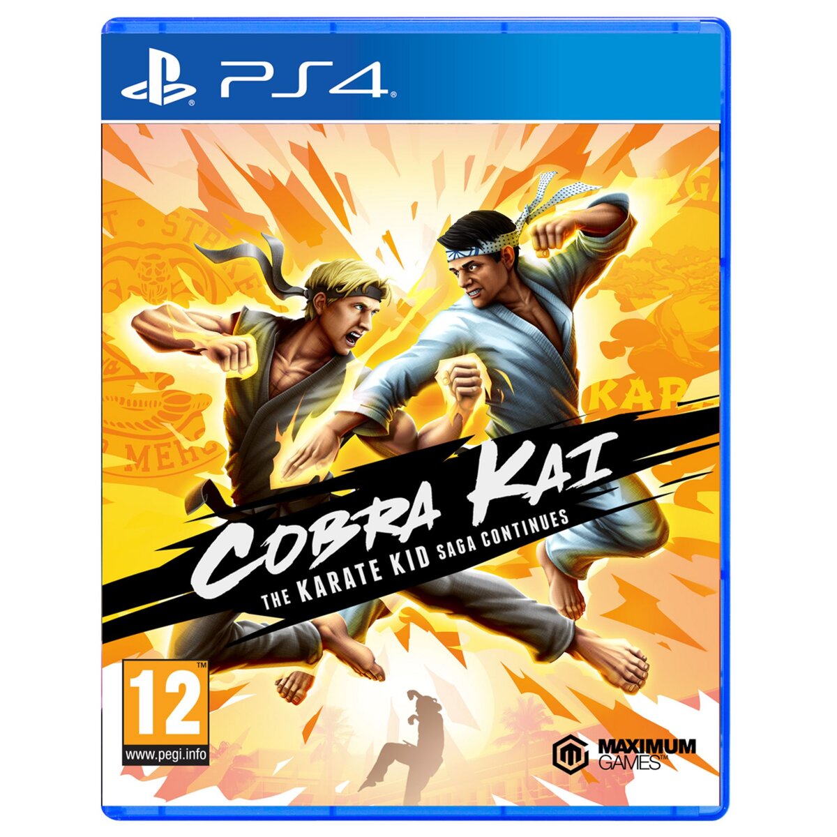 JUST FOR GAMES Cobra Kai : The Karate Kid Saga Continues PS4