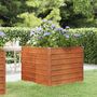 Voir la diapositive 1 : VIDAXL Lit sureleve de jardin rouille 100x100x77 cm acier corten