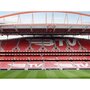 Voir la diapositive 4 : Smartbox Sport Lisboa e Benfica en famille : visite du musée et une écharpe pour 4 - Coffret Cadeau Sport & Aventure