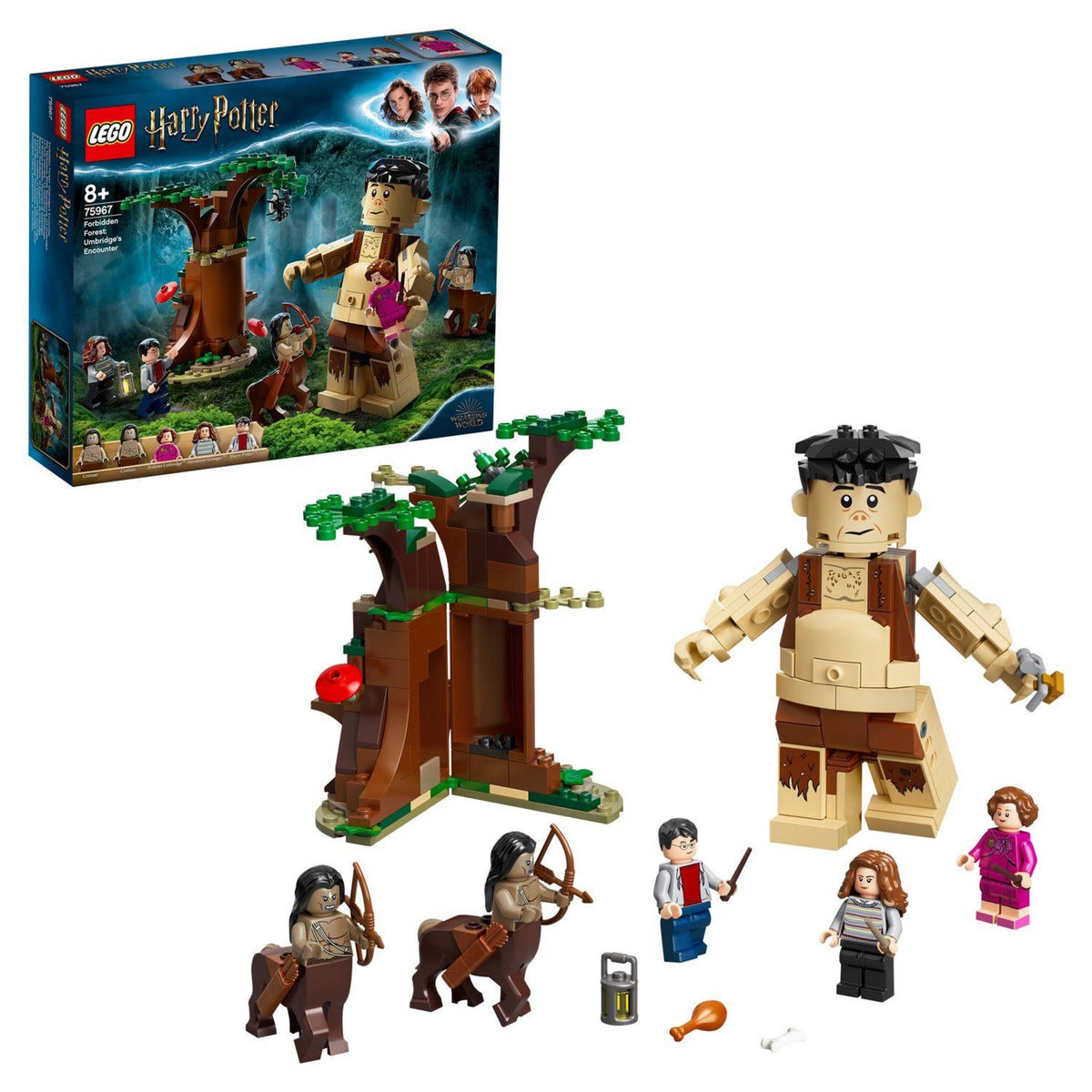 LEGO Harry Potter 75967 - La Forêt interdite 