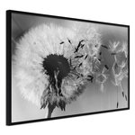 Paris Prix Affiche Murale Encadrée  Dandelion in the Wind. Coloris disponibles : Noir, Jaune