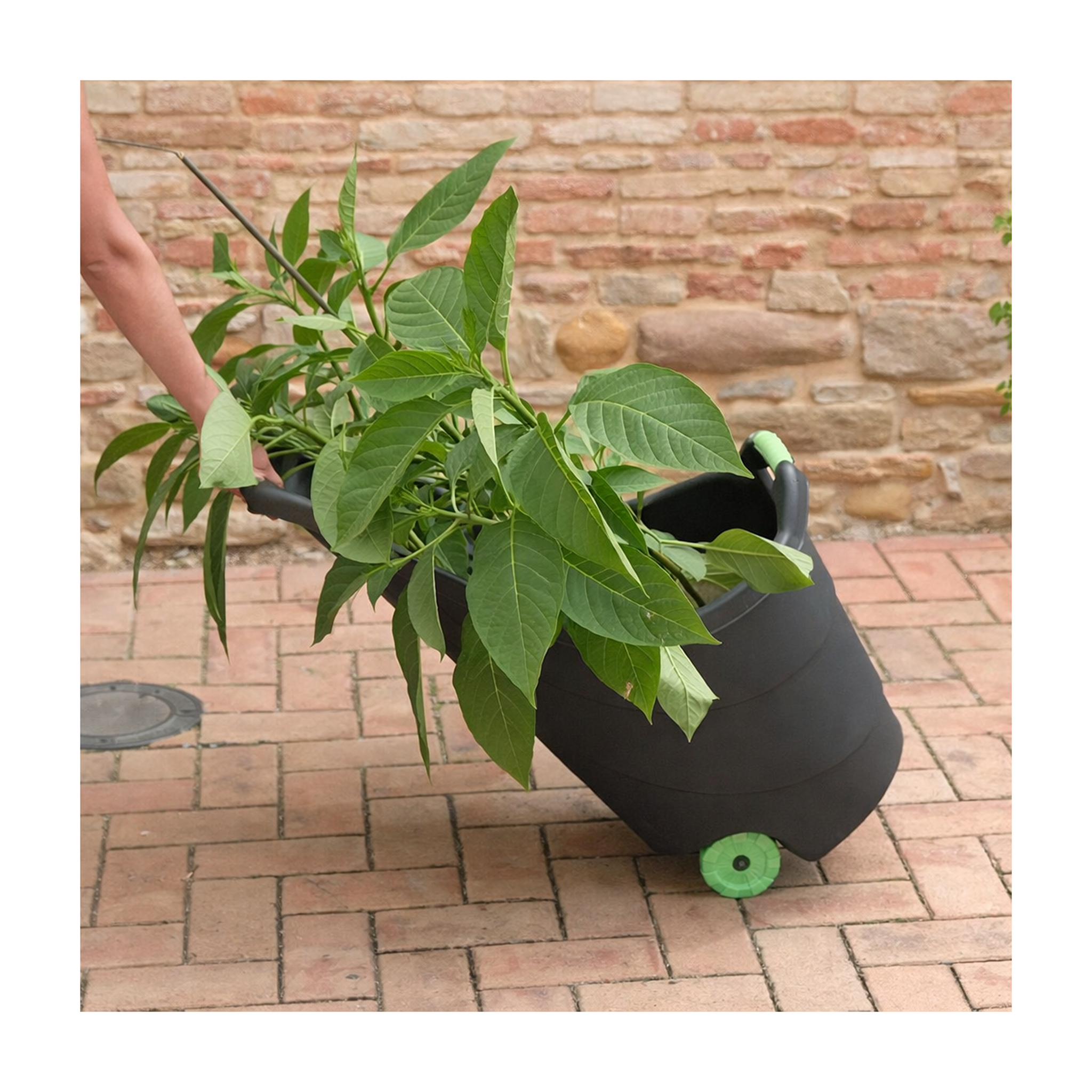 Voir la diapositive 5 : KZ GARDEN Chariot de jardin 62L 2 roues - Transport Bois, Terreau, Plantes Trolley Plastique robuste recyclé Noir KZ GARDEN
