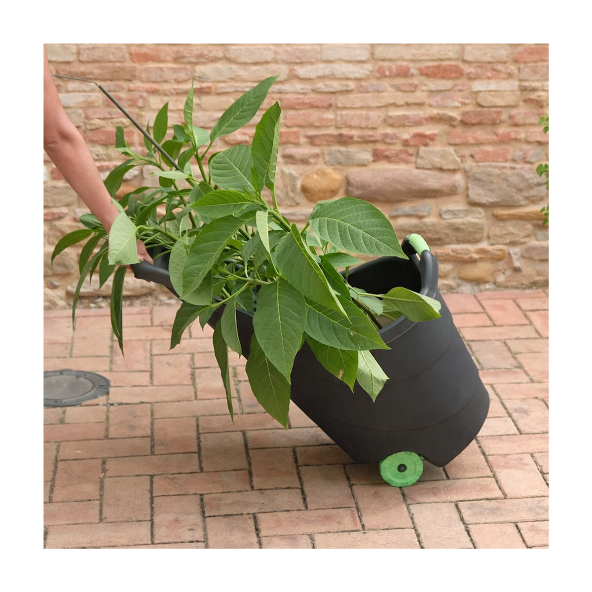 KZ GARDEN Chariot de jardin 62L 2 roues - Transport Bois, Terreau, Plantes Trolley Plastique robuste recyclé Noir KZ GARDEN