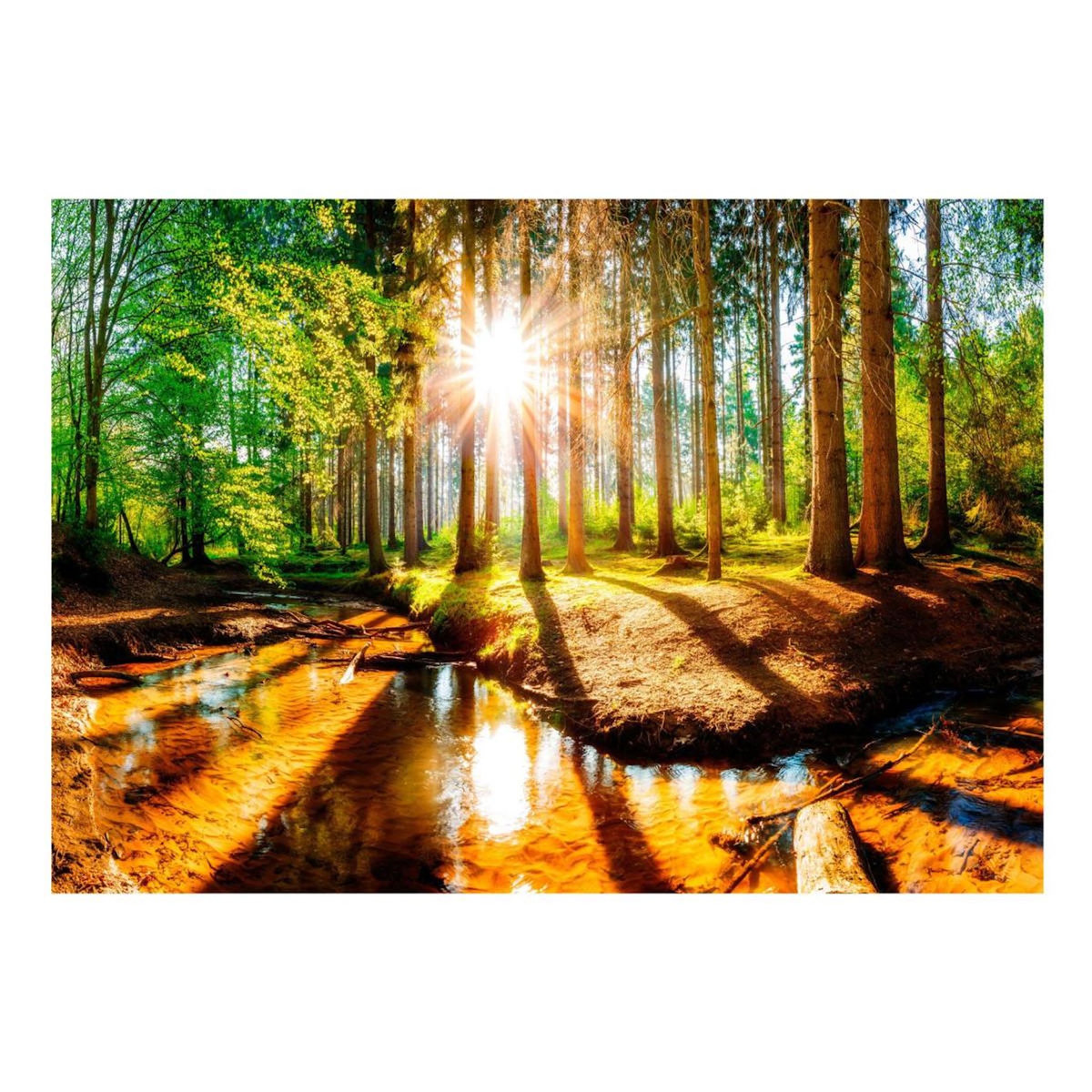 Paris Prix Papier Peint  Marvelous Forest