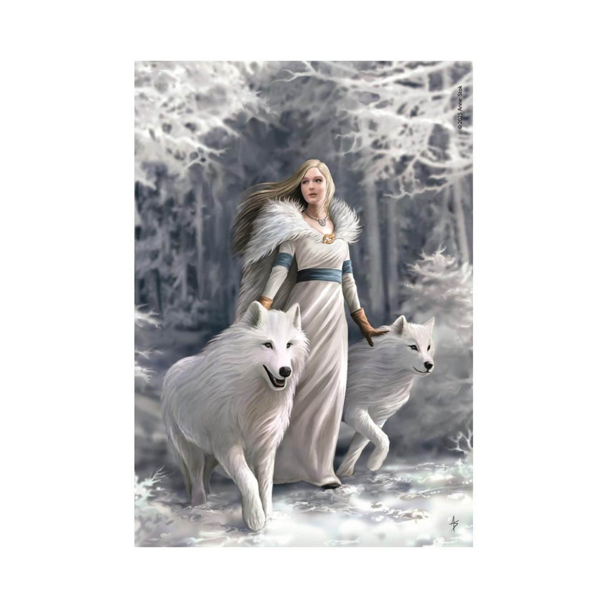 Voir la diapositive 2 : CLEMENTONI Puzzle 1000 pièces - Winter Guardians - CLEMENTONI
