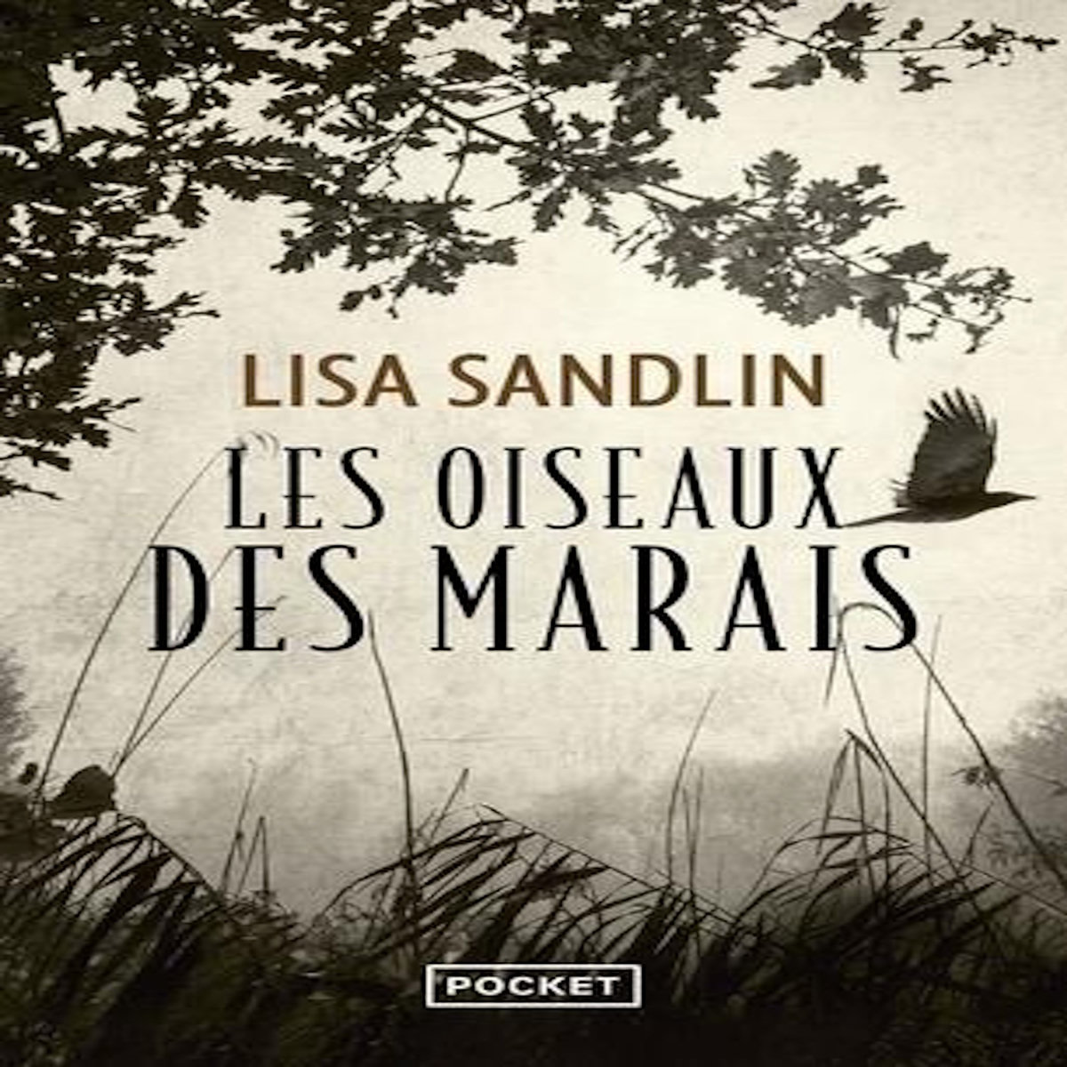 LES OISEAUX DES MARAIS. UNE ENQUETE DE DELPHA WADE ET TOM PHELAN, Sandlin Lisa