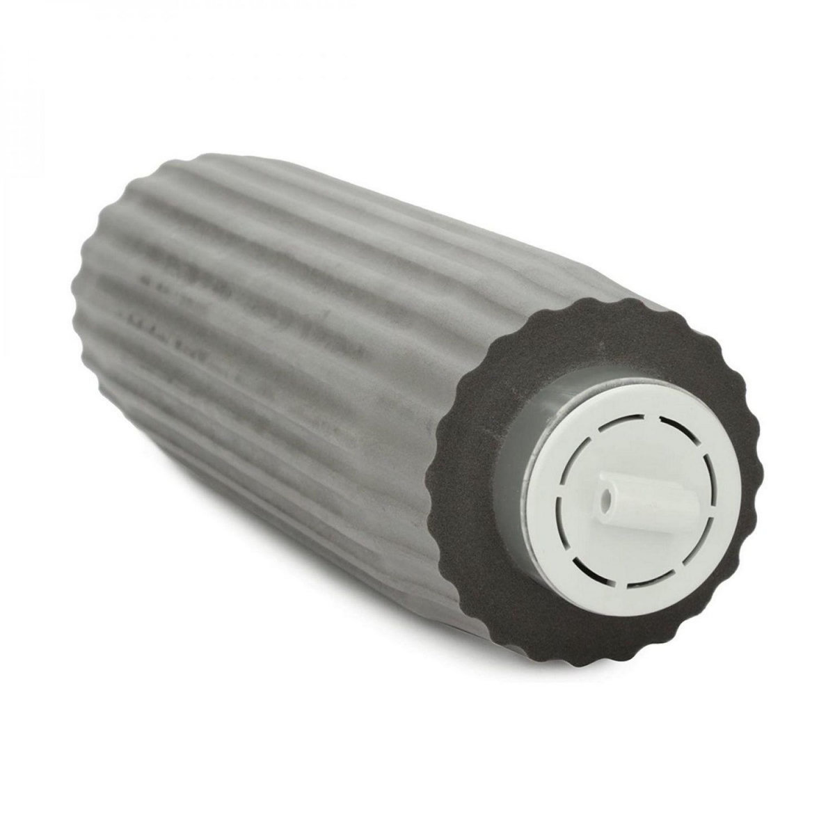 Hayward Brosse mousse avec rouleau pour robot de piscine Evac et SharkVac - RCX26011WCE