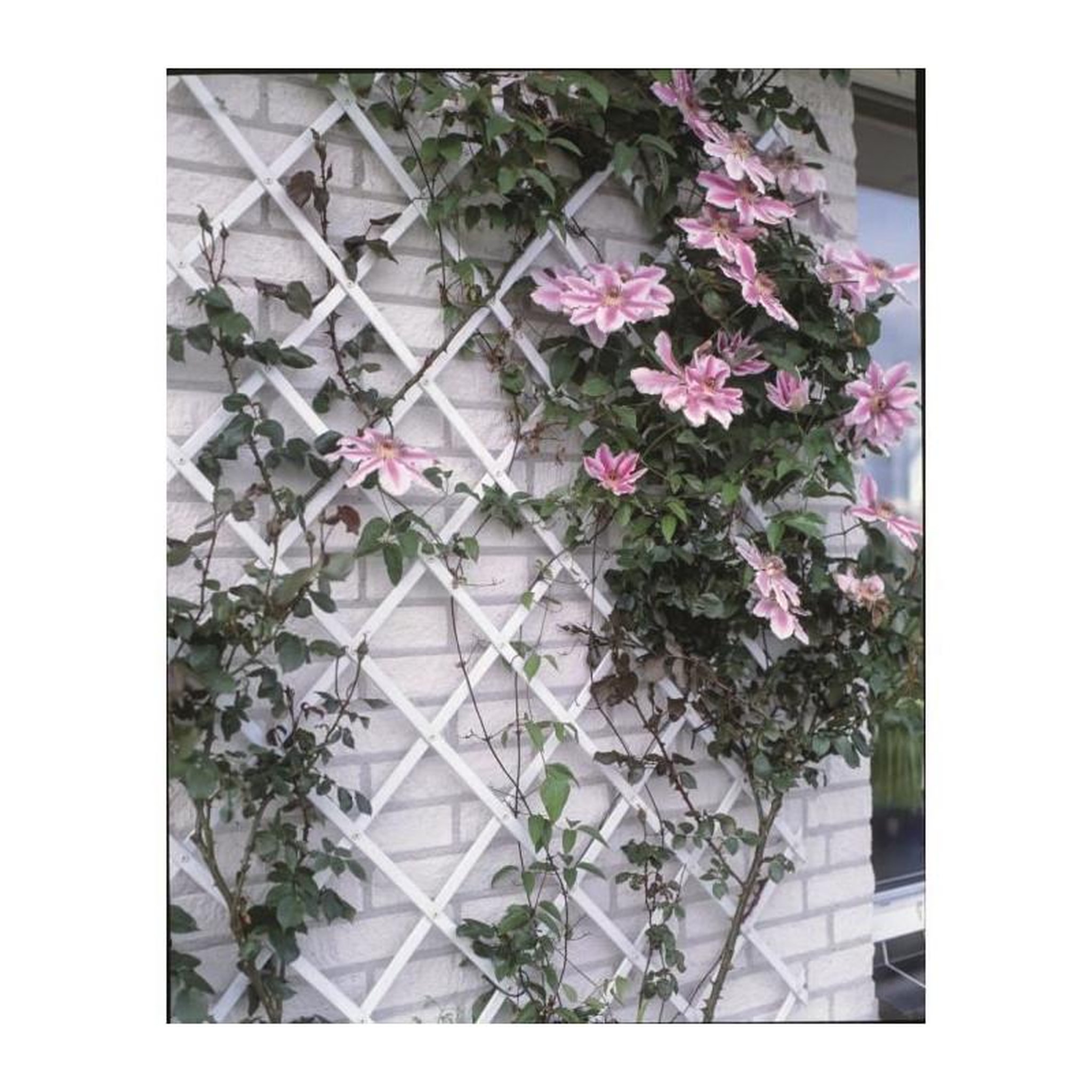 NATURE Treillis extensible plastique vert - 100x200cm