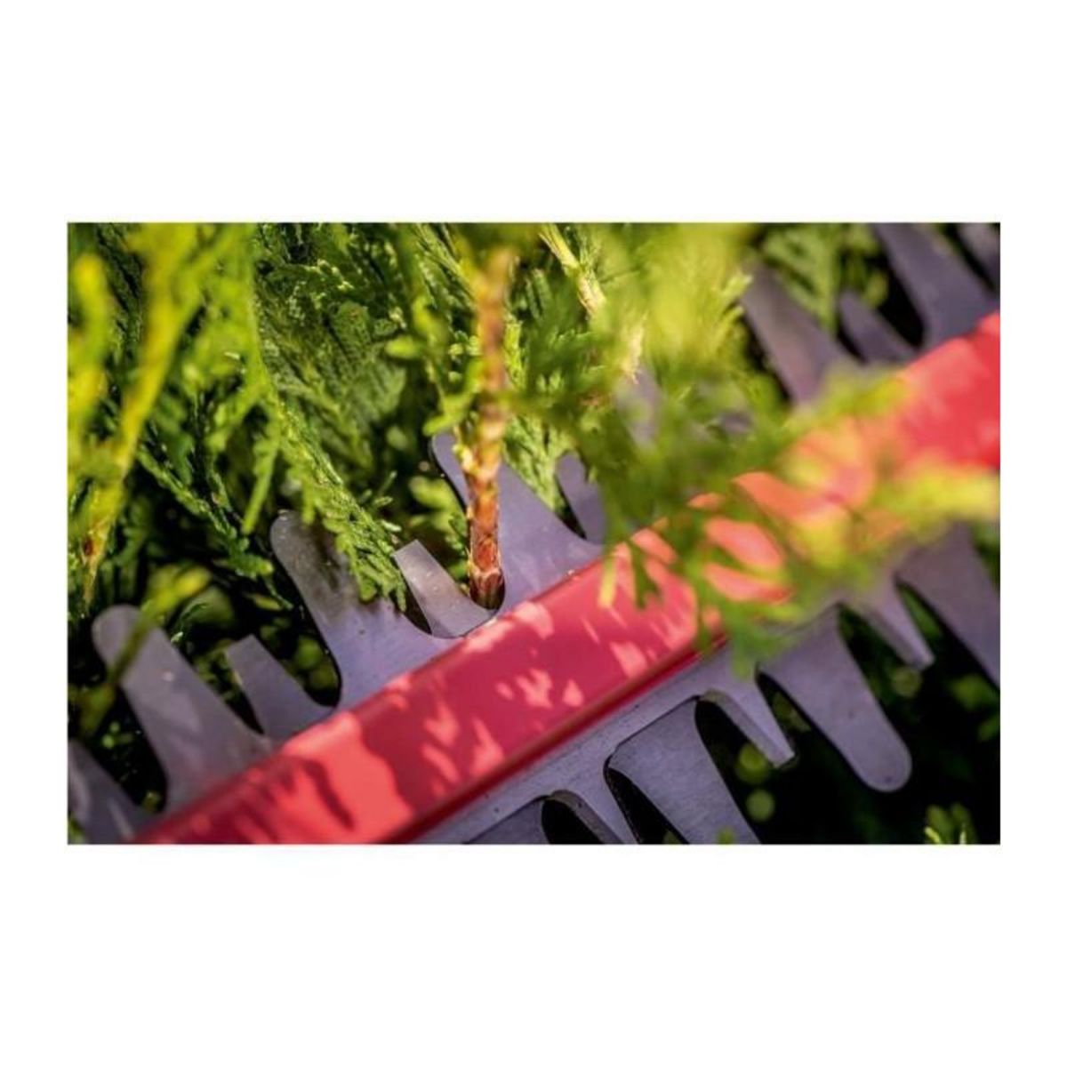 METABO SAS Taille-haies sans fil HS 18 LTX 65,18 V , Pick+Mix - sans batterie ni chargeur