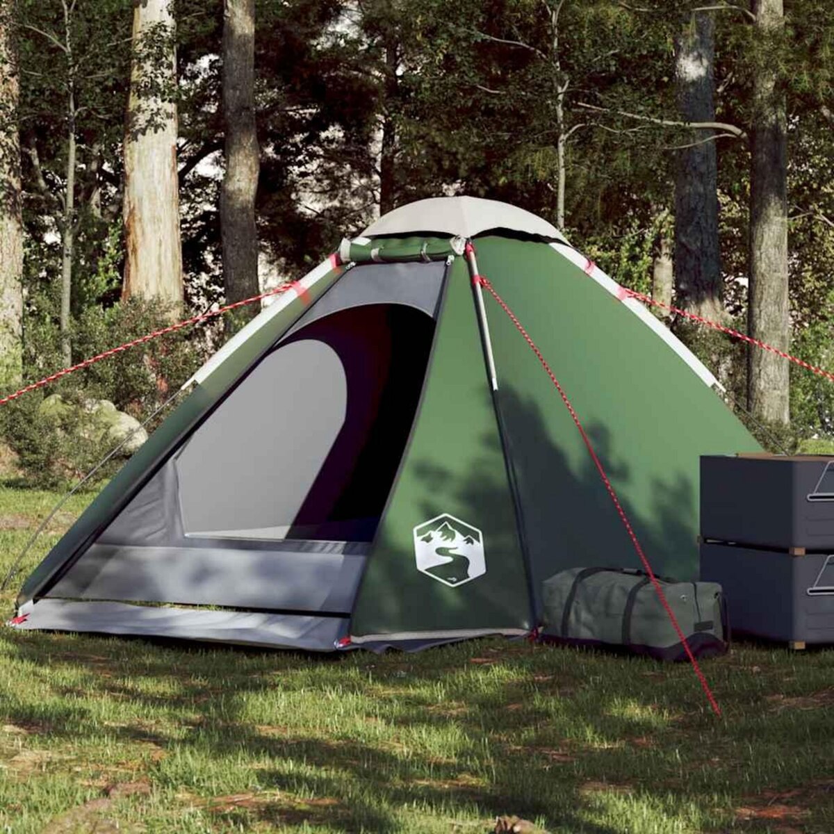 VIDAXL Tente de camping a dome 4 personnes vert impermeable