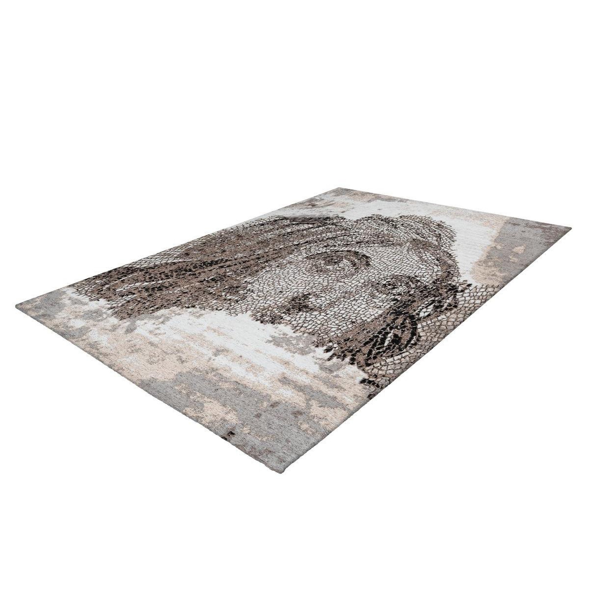 Voir la diapositive 4 : Paris Prix Tapis vintage à poils courts  iglesia  taupe